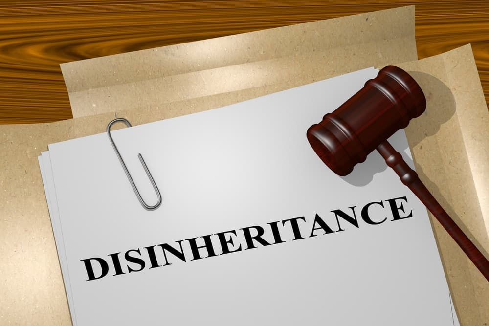 3d,Illustration,Of,"disinheritance",Title,On,Legal,Document